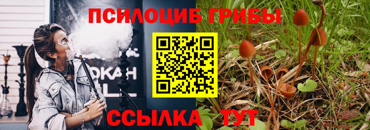 Междуреченск  Галлюциногенные грибы мухоморы  Вход с VPN  где можно купить   Галлюциногенные грибы Magic Shrooms 